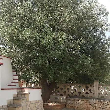 Casa Martina Kır Evi