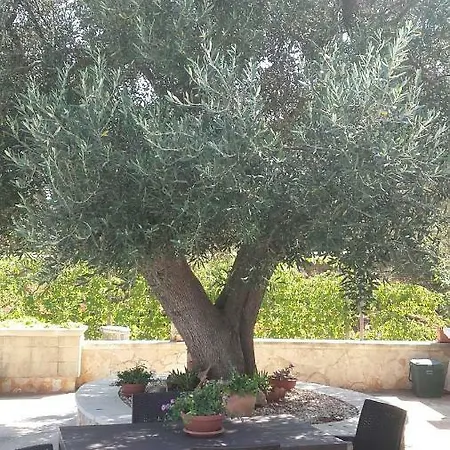Kır Evi Casa Martina